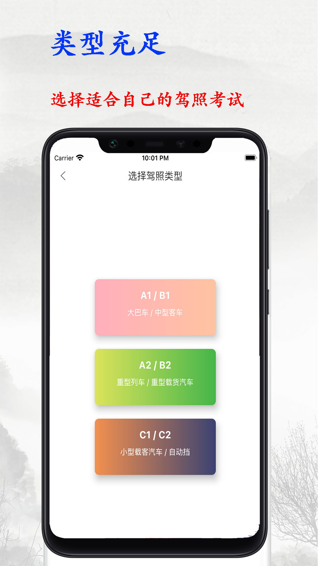 驾考大师电脑版截图