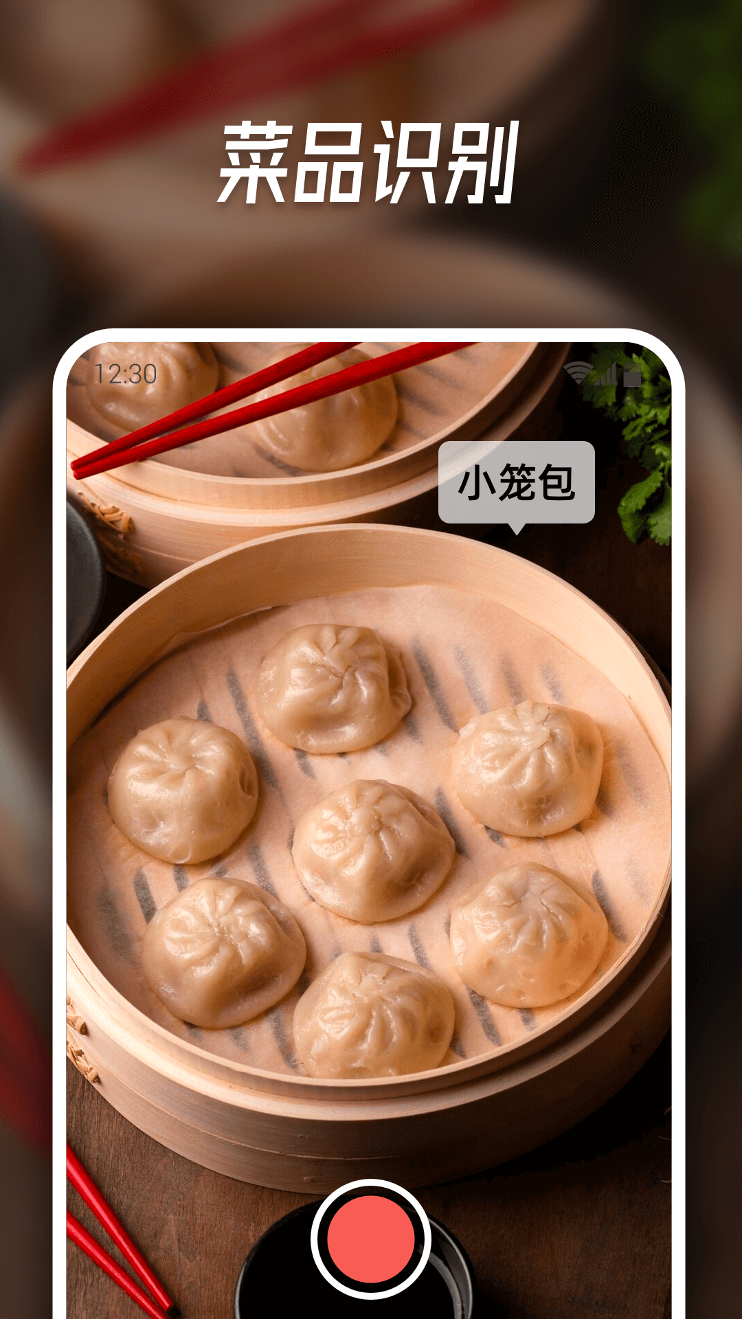 智能识别大师电脑版截图