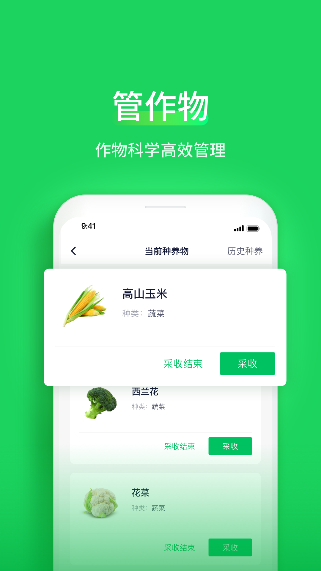 智慧稻草人电脑版截图