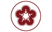 梅花书检在线书法字典平台电脑版段首LOGO