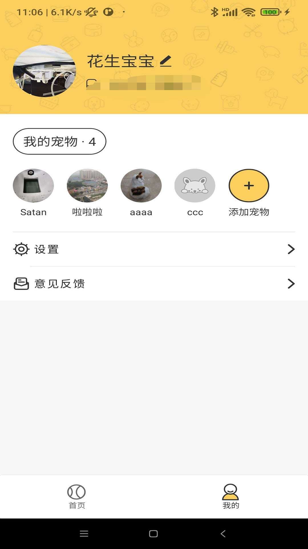 Petool电脑版截图