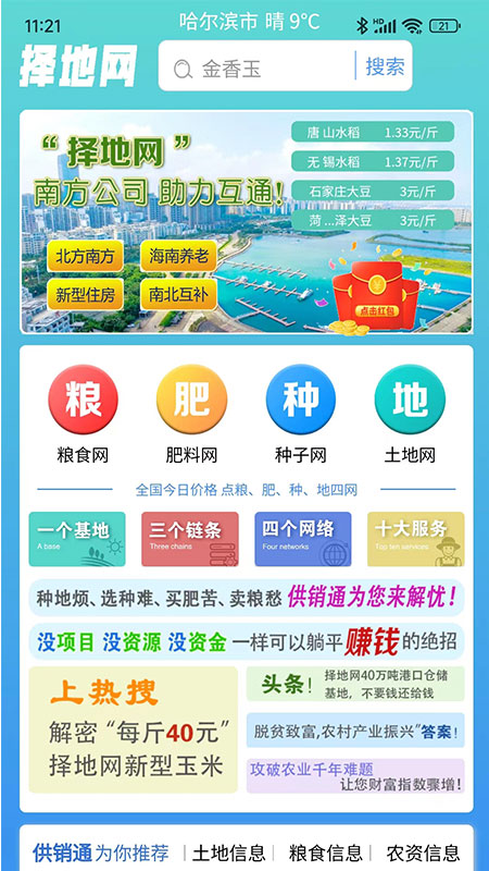 择地网电脑版截图