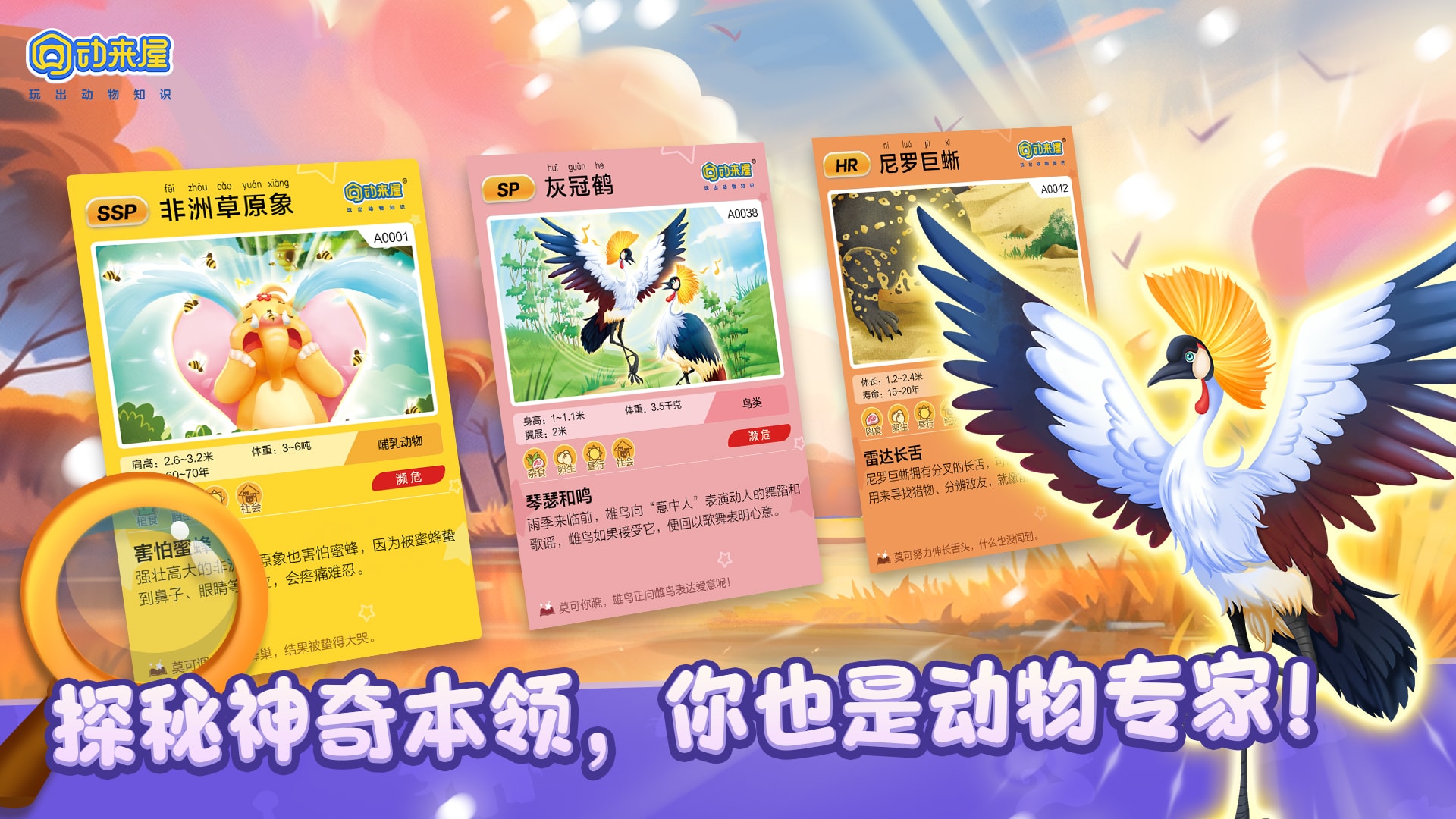 动来屋电脑版截图