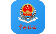 重庆税务电脑版段首LOGO