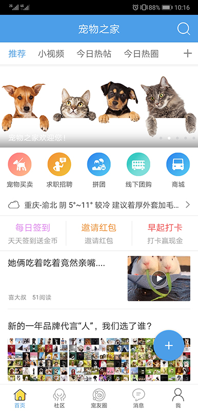 宠物之家电脑版截图