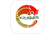 天地泰宁电脑版段首LOGO