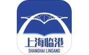 上海临港电脑版段首LOGO