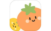 番茄上岸电脑版段首LOGO