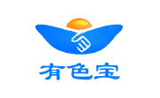 有色宝电脑版段首LOGO