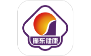 振东医贸电脑版段首LOGO