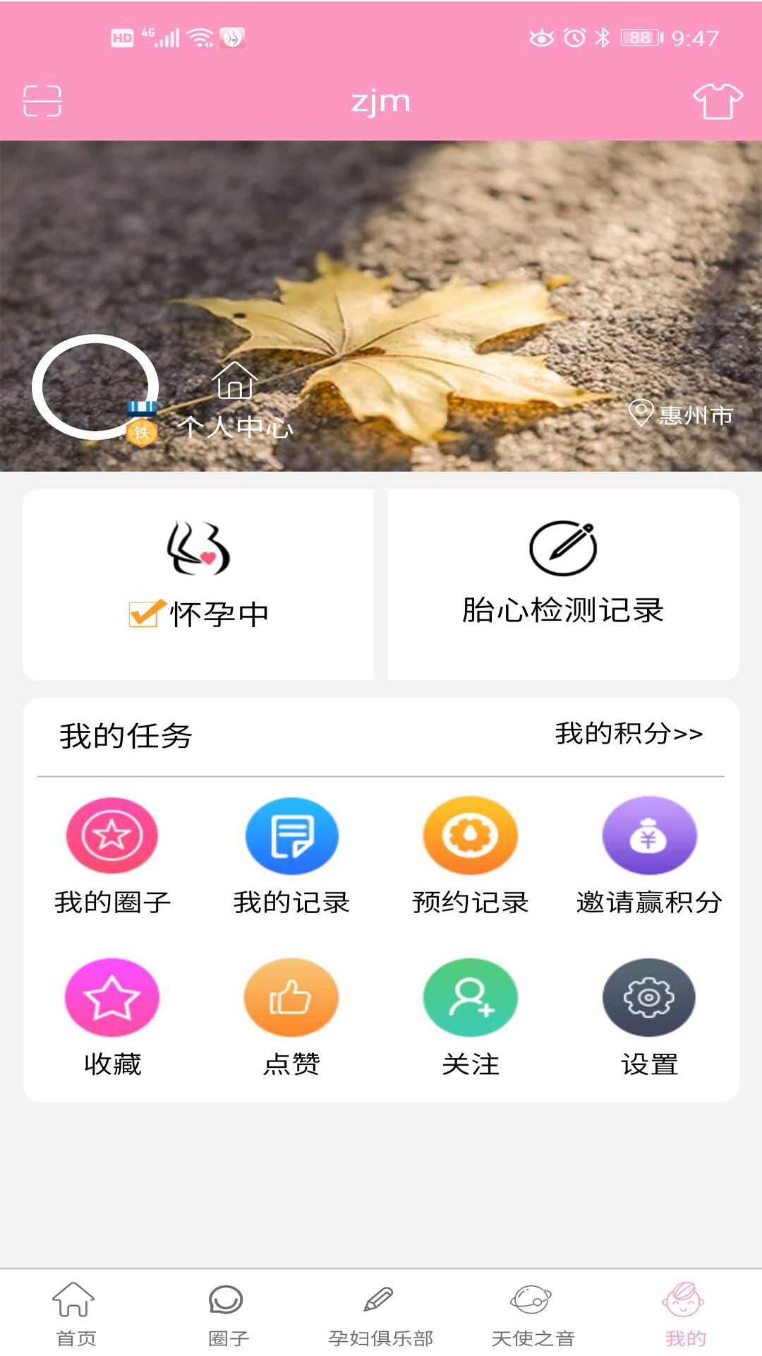孕知音电脑版截图