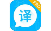 论文翻译电脑版段首LOGO