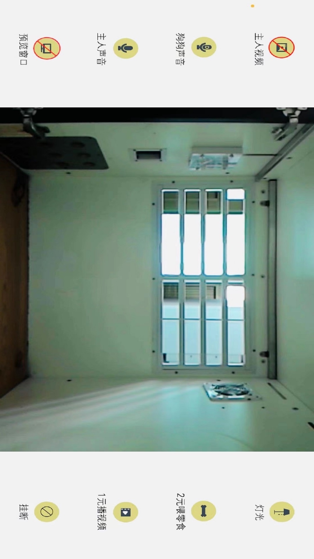 doghome宠物互动寄养软件截图