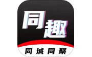 同趣搭档电脑版段首LOGO
