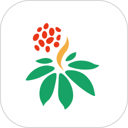 三七通电脑版1.1.1
