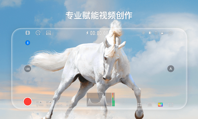 StaCam电脑版截图
