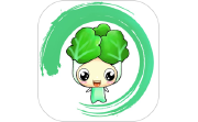 白菜挖电脑版段首LOGO