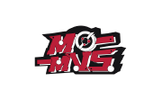 模次元电脑版段首LOGO