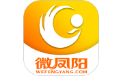 微凤阳电脑版段首LOGO