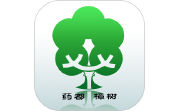 药都樟树电脑版段首LOGO