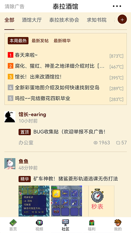 泰拉酒馆电脑版截图