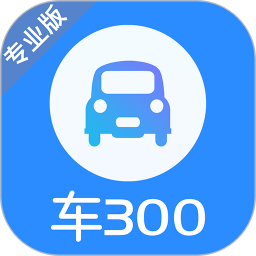 车300<font color='red'>专业</font>版