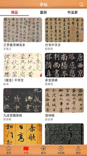 书法练字神器电脑版截图2