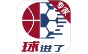 球进了-专家版电脑版段首LOGO