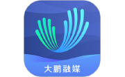 深爱大鹏电脑版段首LOGO
