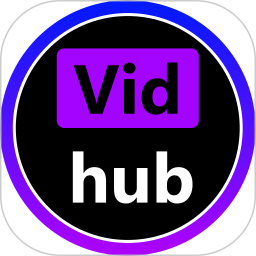 Vidhub视频电脑版