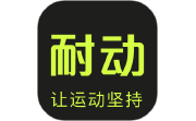 耐动电脑版段首LOGO