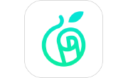 爱青果电脑版段首LOGO