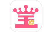 宝模电脑版段首LOGO