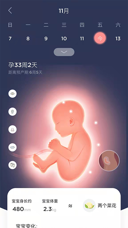 LifeOfmom电脑版截图