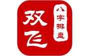 双飞八字排盘电脑版段首LOGO