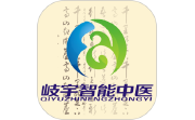 岐宇智能中医电脑版段首LOGO