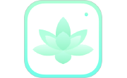 轻莲电脑版段首LOGO