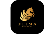 飞马外勤电脑版段首LOGO