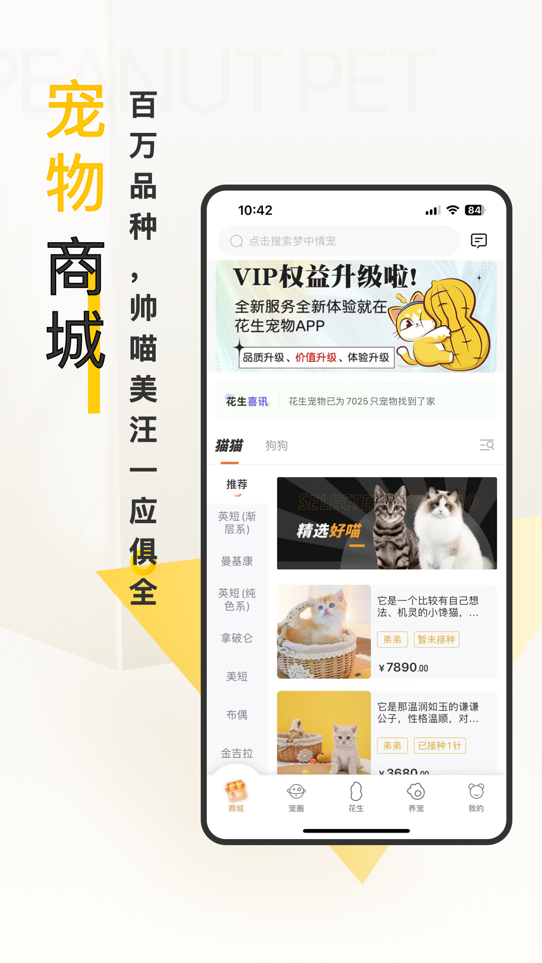 花生宠物电脑版截图