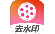 去水印视频解析电脑版段首LOGO