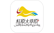 大美红原电脑版段首LOGO