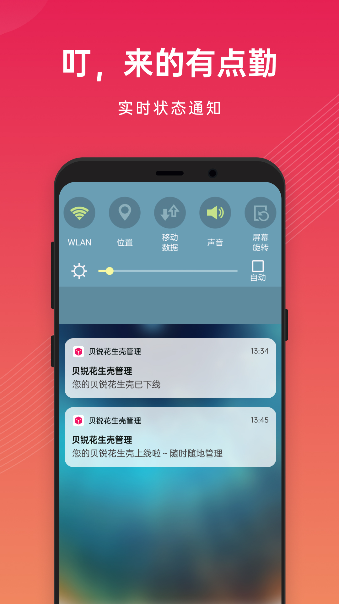 贝锐花生壳管理电脑版截图