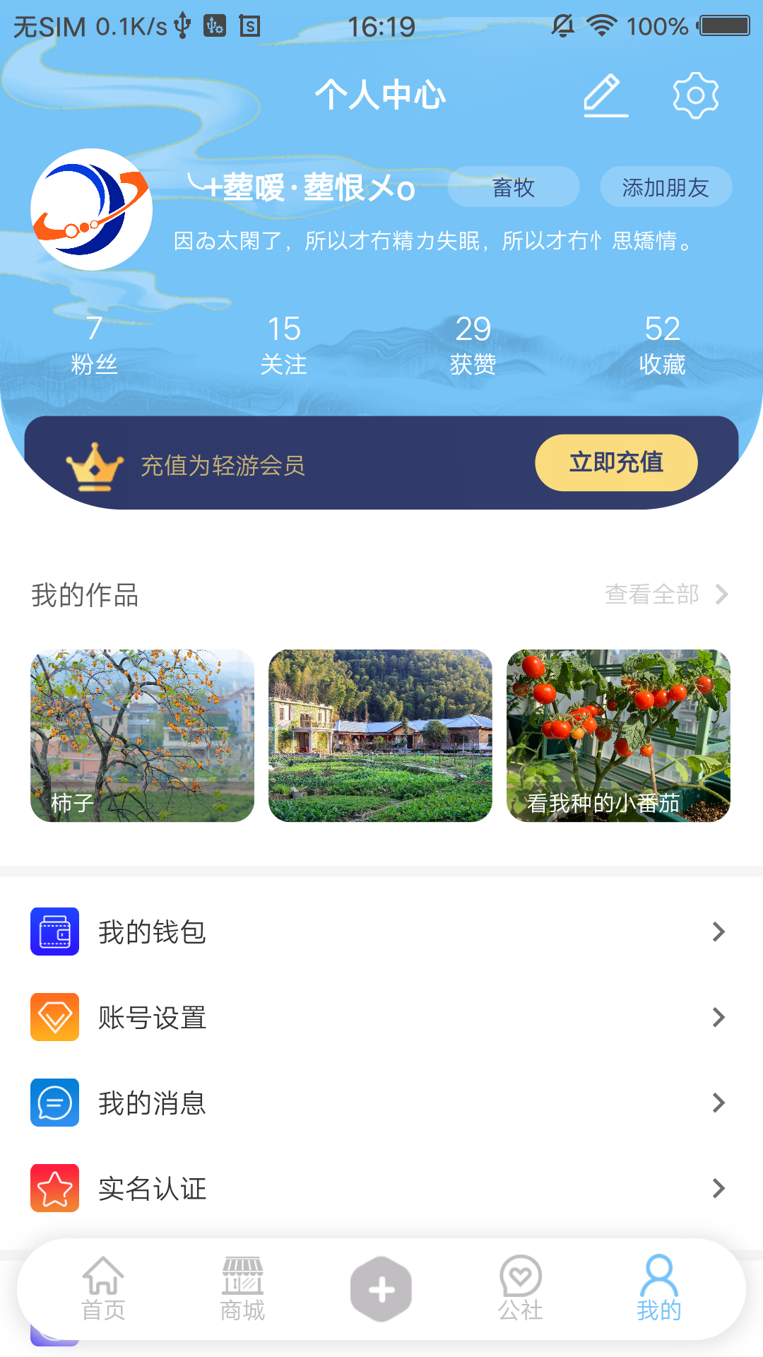 轻游互联电脑版截图