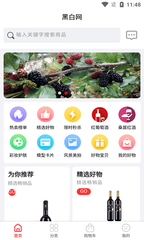 黑白网电脑版截图