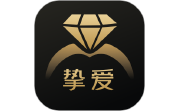 挚爱婚恋电脑版段首LOGO