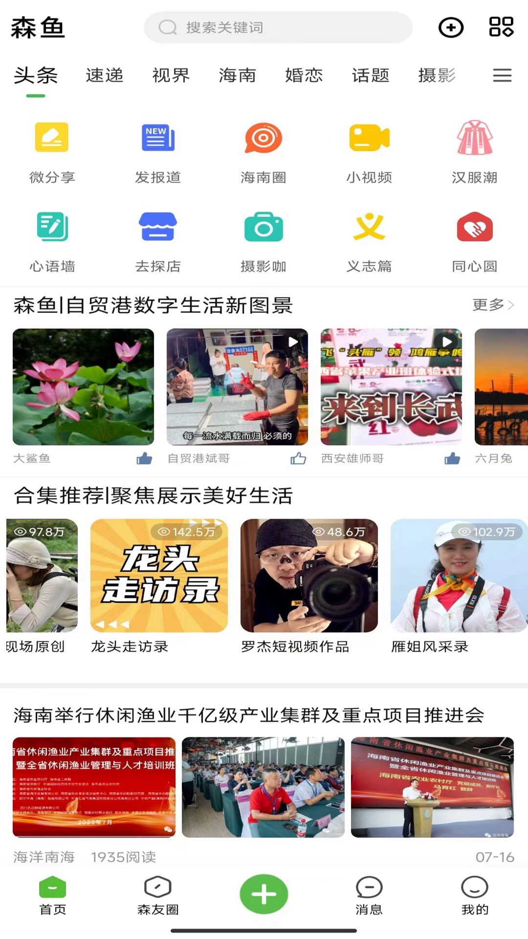 森鱼电脑版截图