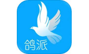 鸽派电脑版段首LOGO