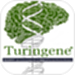 Turingene