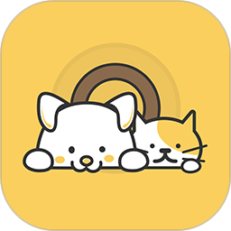 Petool