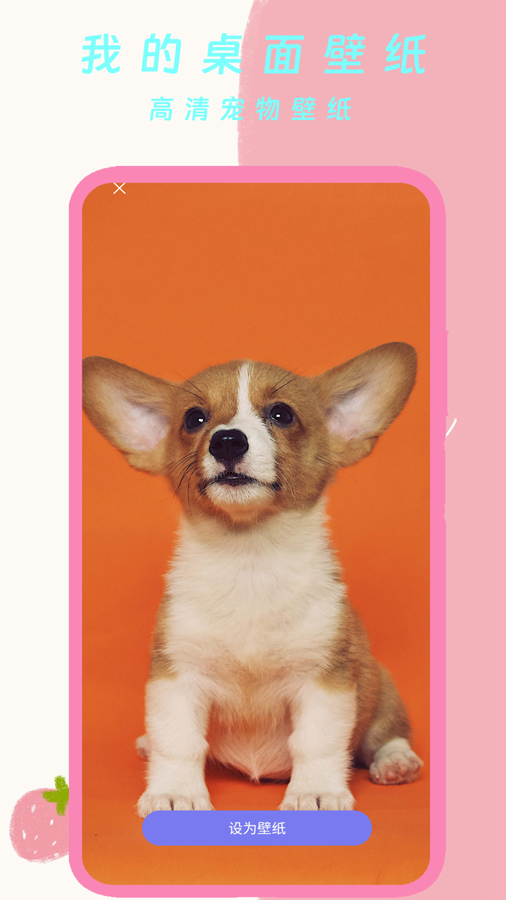 我的桌面壁纸截图